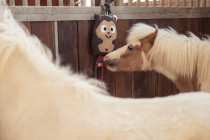 Hračka pro koně ESKADRON