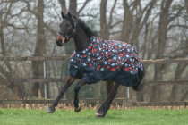 Deka výběhová HKM NORWICH 600D 100g