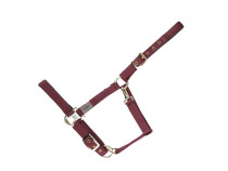 Ohlávka EVERDAY USG