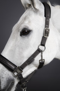Set ohlávka + vodítko ESKADRON PIN BUCKLE