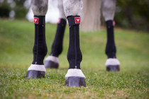 Bandáž VETOFLEX Classic Long zadní