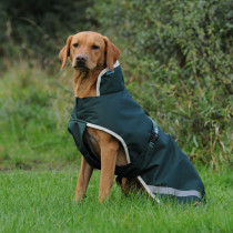 Obleček na psa BUCAS GREENLINE zeleno/krémový