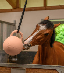 Balon na hraní AWA s madlem s příchutí