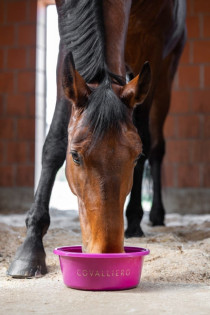 Miska krmná COVALLIERO