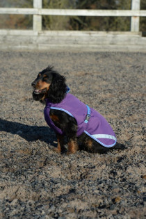 Obleček na psa Bucas Freedom pláštěnka fialová