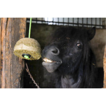Koule HIPPOTONIC 1kg závěsná