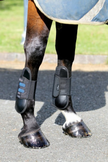 Kamaše DALMAR HORSEWARE extra lehké