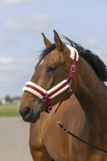 Ohlávka MOUTON s beránkem