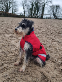 Obleček na psa BUCAS FREEDOM pláštěnka červená