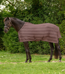 Deka proti mouchám ECONOMIC AWA s popruhy