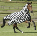 Deka BUCAS síťová s krkem ZEBRA UV 135