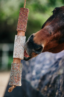 Hračka CANDY HORSE kousací dřevěná s bylinky