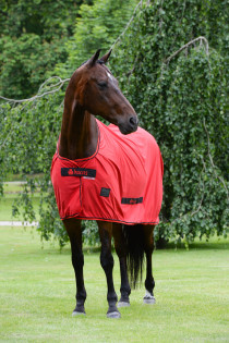 Deka BUCAS SPORTS LINE COOLER
