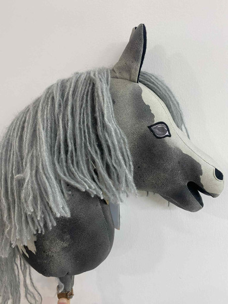 HOBBY HORSE