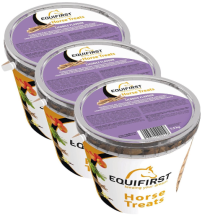 Pamlsky HORSE TREATS EQUIFIRST 1,5kg