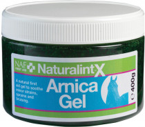 Gel ARNIKA s MSM 400g