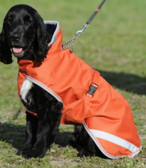 Obleček na psa Bucas Freedom pláštěnka oranžová