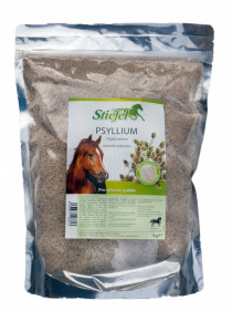 Psyllium sáček 1kg slupky semen